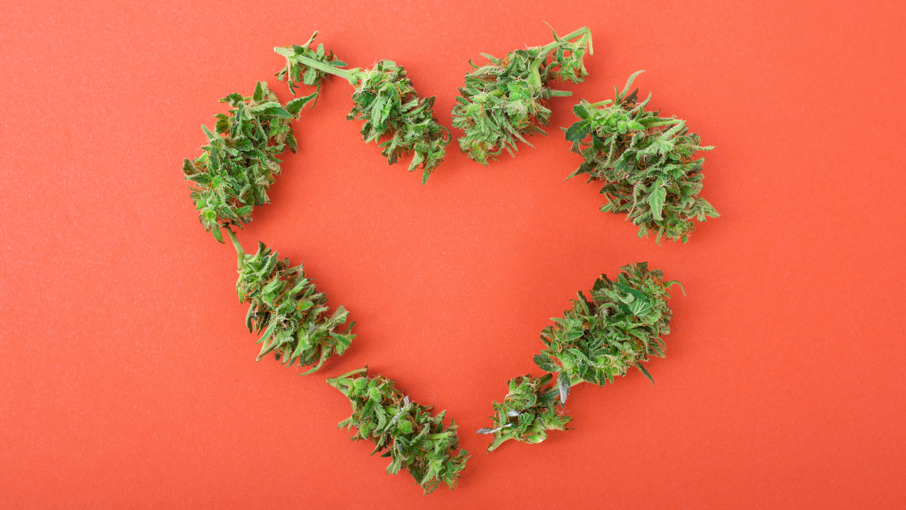 Cannabis and Mental Health: A Transformative Journey with Evi Vibez